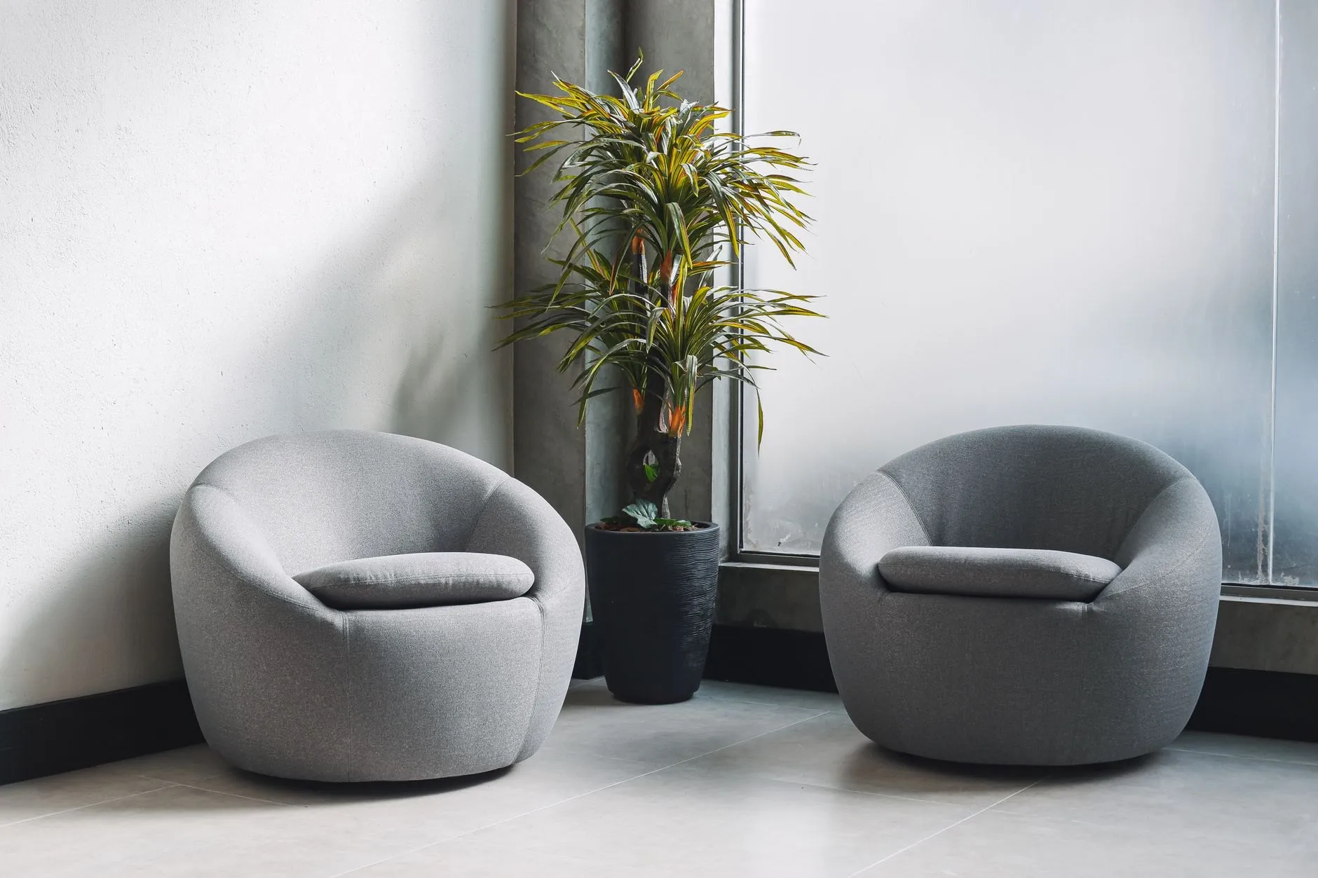 Two grey armchairs by a tall plant in a bright counselling room